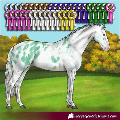 Horse Color:Watercolor White Spotted Chocolate Palomino Sabino Appaloosa Rabicano 