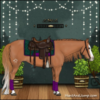 Horse Color:Chestnut Splash 