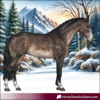 Horse Color:Brown Dun Sabino Brindle
