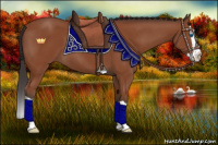 Horse Color:Bay Splash 