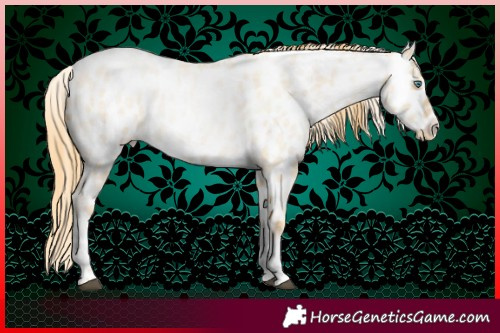 Horse Color:Smoky Grullo Roan Pearl Tobiano Appaloosa 