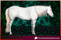 Horse Color:Smoky Grullo Roan Snowdrop Tobiano Near Leopard 
