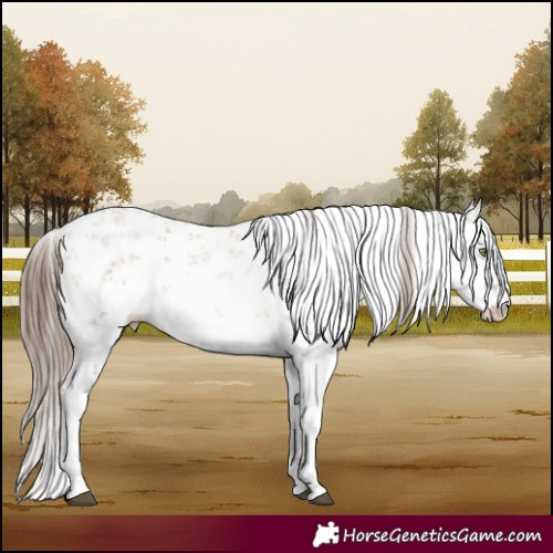 Horse Color:White Spotted Brown Pearl Dun Sabino 
