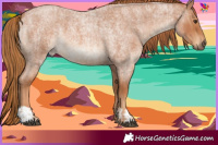 Horse Color:Red Roan  and Red Roan 