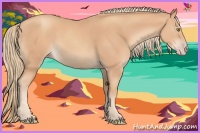 Horse Color:Gold Champagne  and Gold Champagne 