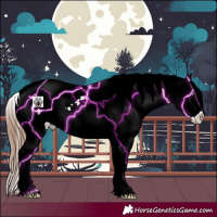 Horse Color:Chestnut Splash Tobiano Frame Appaloosa