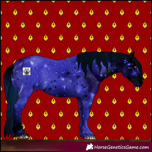 Horse Color:ERROR: UNKNOWN ANOMALY