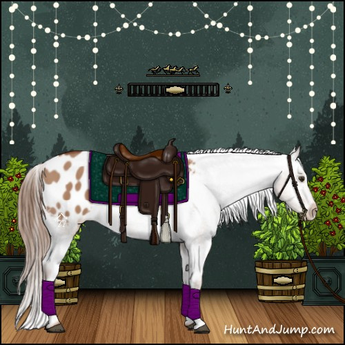 Horse Color:Red Dun Appaloosa 