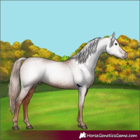 Horse Color:Gray Chestnut Varnish 