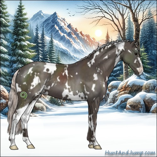 Horse Color:White Spotted Silver Black Sabino 