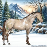 Horse Color:White Spotted Brown Pearl Dun 