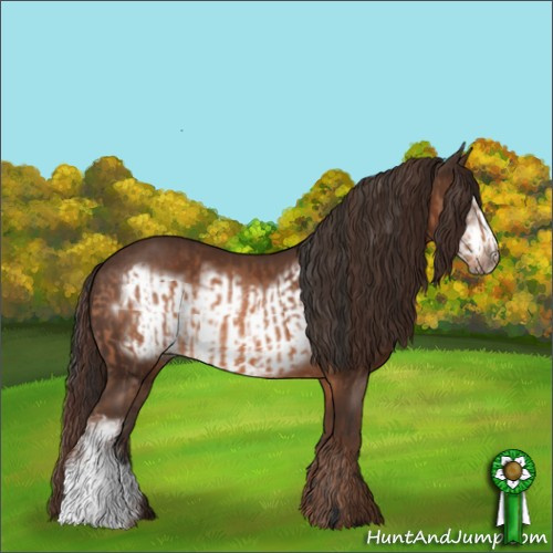 Horse Color:Bay  and Liver Chestnut Frame 