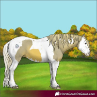 Horse Color:Watercolor Chestnut Splash Tobiano 