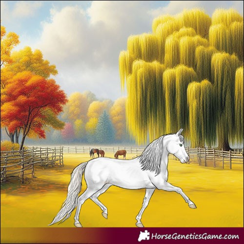 Horse Color:Gold Cream Champagne Appaloosa 