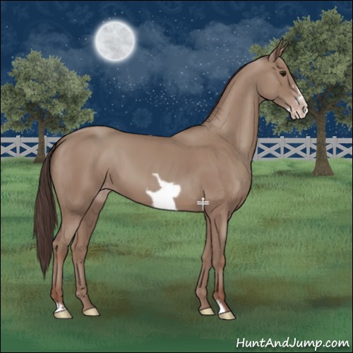 Horse Color:Classic Champagne Frame 