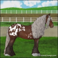 Horse Color:Silver Brown Blanket 