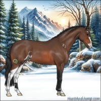 Horse Color:Bay Roan Sabino