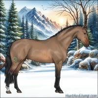 Horse Color:Brown Dun 