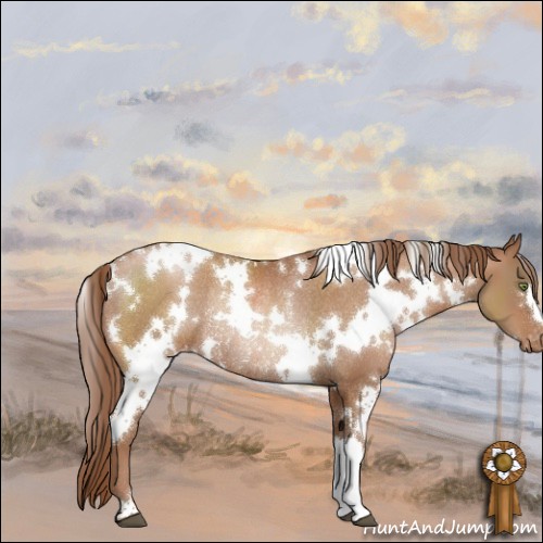 Horse Color:White Spotted Brown Pearl Appaloosa Rabicano