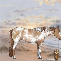 Horse Color:White Spotted Brown Pearl Appaloosa Rabicano 