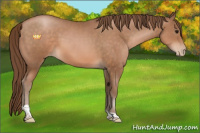 Horse Color:Brown Pearl Tobiano