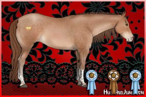 Horse Color:Brown Pearl Tobiano