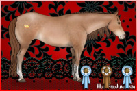 Horse Color:Brown Pearl Tobiano