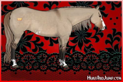 Horse Color:Liver Red Dun Sabino 