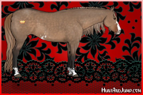 Horse Color:Liver Red Dun Sabino 