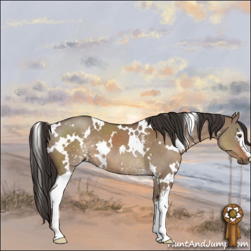 Horse Color:White Spotted Liver Red Dun 