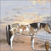 Horse Color:White Spotted Liver Red Dun