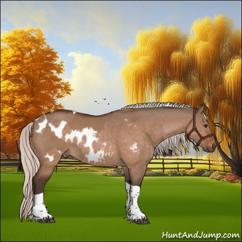 Horse Color:Silver Bay Dun Tobiano  and Silver Bay Dun Tobiano Appaloosa 