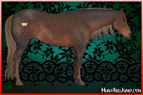 Horse Color:Liver Chestnut Sabino 