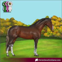 Horse Color:White Spotted Liver Chestnut Sabino