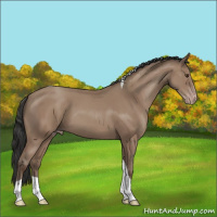 Horse Color:Classic Champagne Tobiano 
