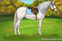 Horse Color:Smoky Creme Dun Tobiano 