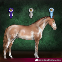 Horse Color:Brown Pearl Sabino