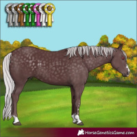 Horse Color:Chocolate Silver Black Chinchilla 