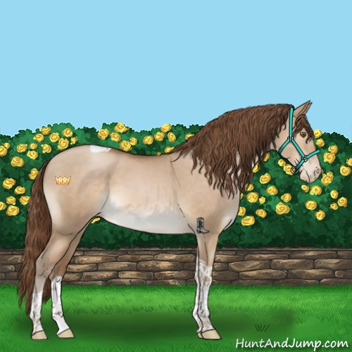 Horse Color:Brown Pearl Dun Tobiano 