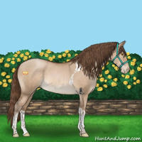 Horse Color:Brown Pearl Dun Tobiano 
