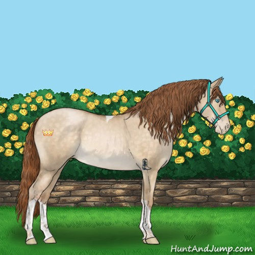 Horse Color:Buckskin Pearl Dun Tobiano Rabicano Brindle 
