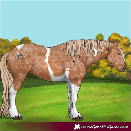 Horse Color:Chestnut Ice Tobiano 