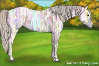 Horse Color:Silver Black Ice Sabino 
