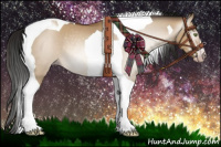 Horse Color:Gray Amber Champagne Dun Tobiano Rabicano 