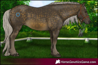 Horse Color:Silver Buckskin 