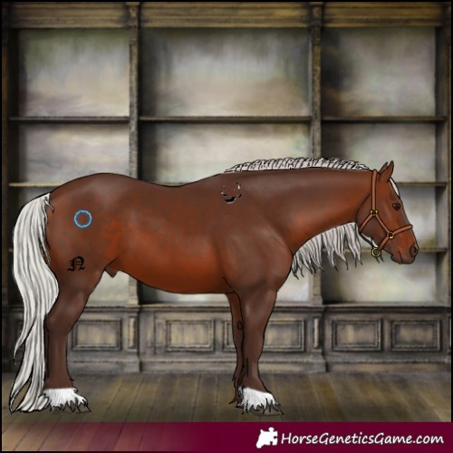 Horse Color:Silver Brown 