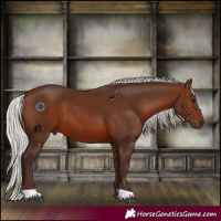 Horse Color:Silver Brown 