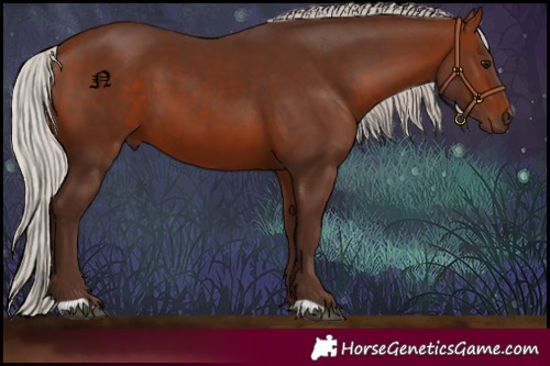 Horse Color:Silver Bay 