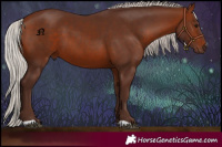 Horse Color:Silver Bay 