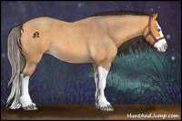 Horse Color:Buckskin Roan Splash 
